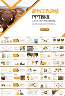 动物园工作总结保护野生动物