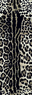 豹纹图案布料纹理细节