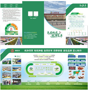 羊肉宣传折页设计展示