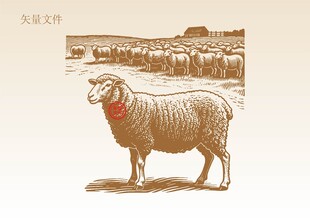 手绘羊插画版画