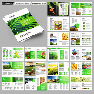 农产品宣传册