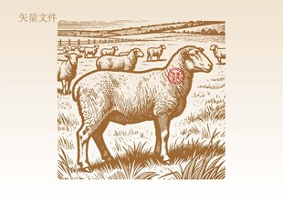 手绘羊素描插画