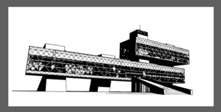 远望楼 东营 垦利  黄河口