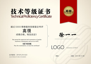 技术等级证书模板展示
