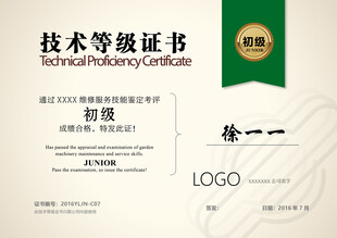 技术等级证书模板样式