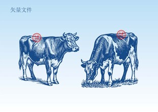 奶牛素描插画