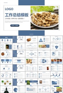 精美核桃种植产业总结计划ppt