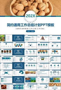 精美核桃种植产业总结计划ppt