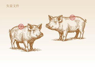 猪插画版画