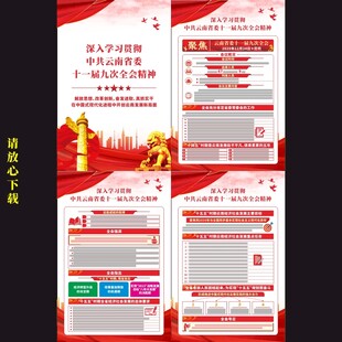 云南省委十一届九次全会