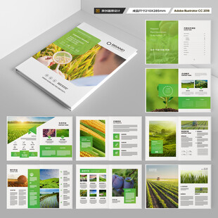 农产品宣传册