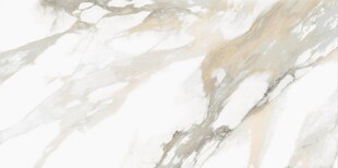 白色鱼肚金大理石石纹