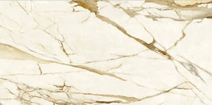 米黄色鱼肚金大理石石纹