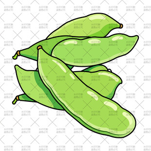 手绘扁豆