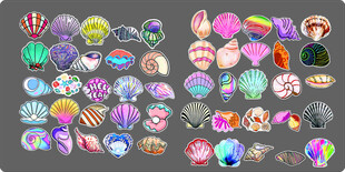 手绘贝壳卡通贝壳矢量贝壳