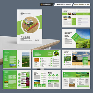 农产品宣传册