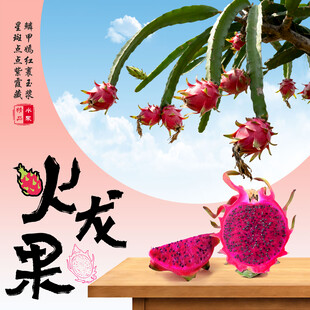 火龙果
