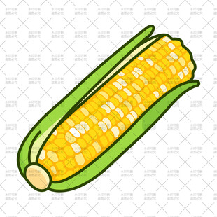 甜玉米插画