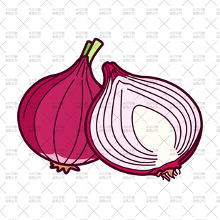 洋葱插画