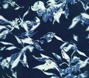 蓝调叶片纹理图案