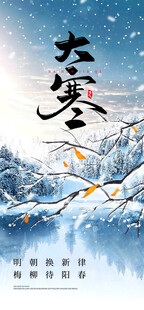 24节气小寒大寒传统节气宣传海