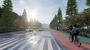 清晨骑行在林荫道路上