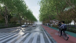 城市林荫道上的骑行者