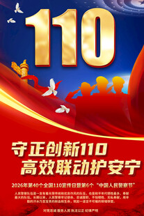 110宣传海报