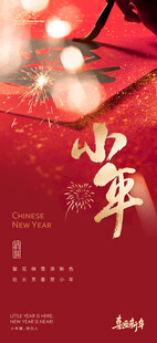 小年海报