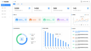 数据可视化后台web界面展示