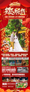 新年春节云西双版纳旅游海报
