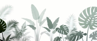 雾气磨砂膜效果绿植贴图