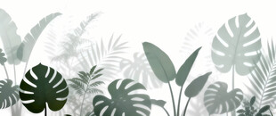 雾气磨砂膜效果绿植贴图