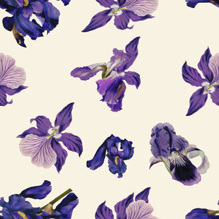紫色鸢尾花图案无缝背景