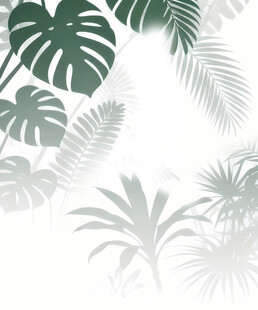 雾气磨砂膜效果绿植贴图