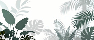 雾气磨砂膜效果绿植贴图