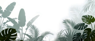 雾气磨砂膜效果绿植贴图