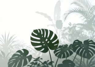 雾气磨砂膜效果绿植贴图