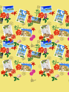 多彩照片与花朵装饰画面