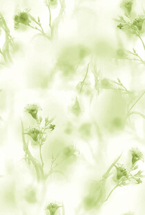 淡绿色梦幻花卉背景图