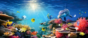 海底世界 海洋馆