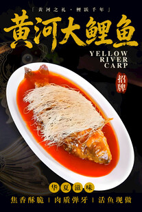 黄河大鲤鱼 