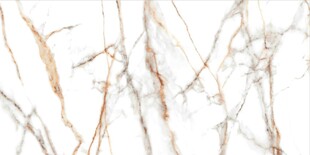 白色鱼肚金大理石石纹