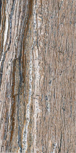 浅棕色树化玉大理石石纹