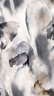 纹理独特的灰白岩石特写