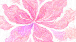 梦幻粉色花卉抽象图案