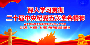 二十届中央纪委五次全会展板