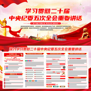 二十届中央纪委五次全会重要讲话