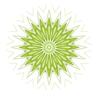 绿色放射状几何花纹图案