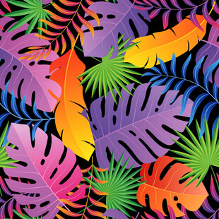 热带植物叶片图案